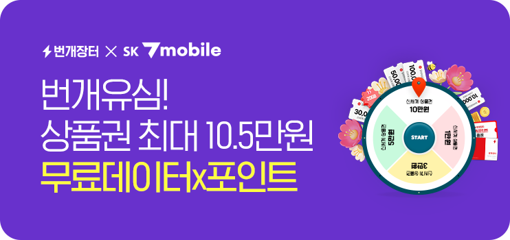 번개장터