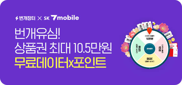 번개장터