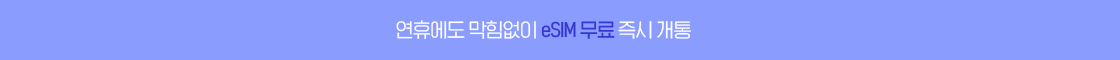 eSIM 무료