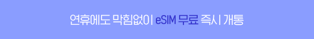 eSIM 무료