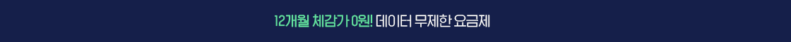 12개월 체감가 0원! 데이터 무제한 요금제