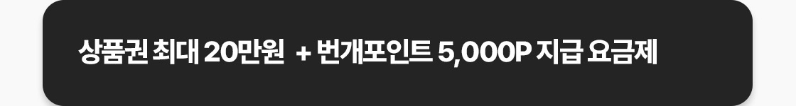 번개포인트 5,000P를 즉시 지급한다.