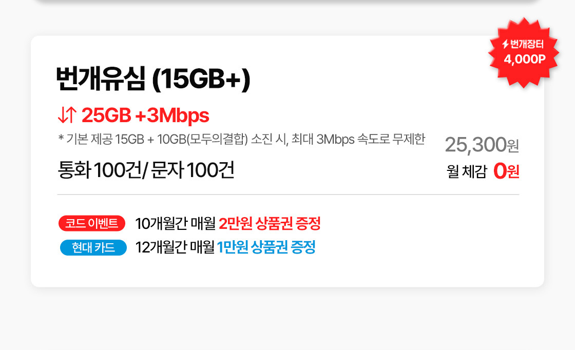25,300원이며, 번개포인트 4,000P와 코드