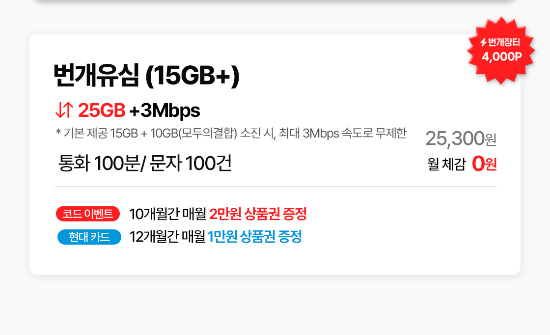 25,300원이며, 번개포인트 4,000P와 코드