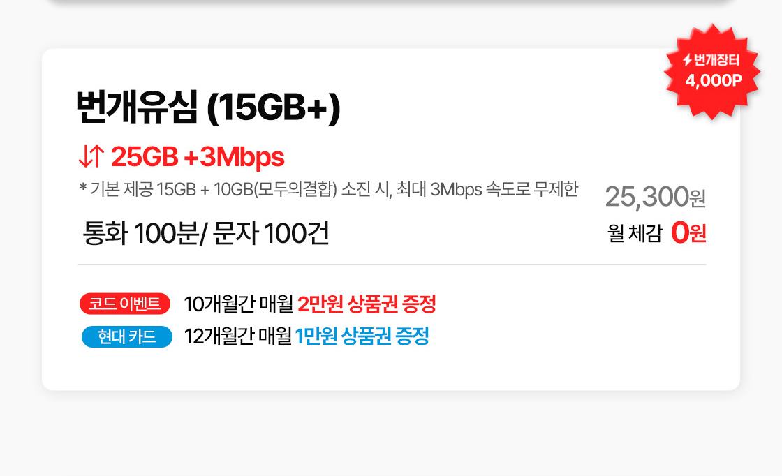 25,300원이며, 번개포인트 4,000P와 코드